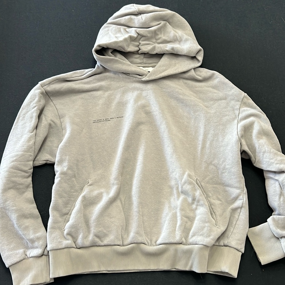 Pangaia gray hooded sweatshirt